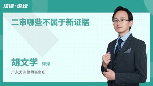 二审哪些不属于新证据